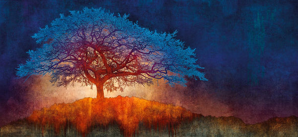 Mark Munroe-Preston digitally illustrated image of a tree in colours purple, blue and red