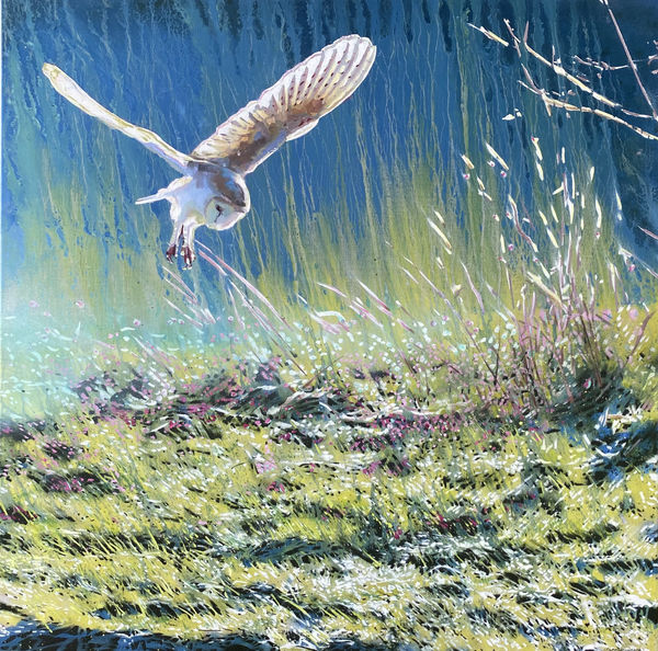 James Fotheringhame painting oil on linen, of a barn owl in full flight highlighted by an early morning sky, the green grass sparkles with dew