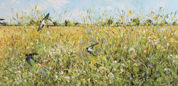 Fletcher Prentice, Summer Swallows, 2020