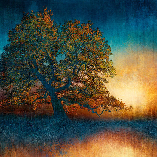 Mark Munroe-Preston digitally illustrated image of a tree in colours turquoise, green and yellow