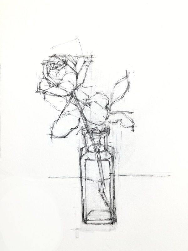 Sarah Spackman, Garden Rose, 2023