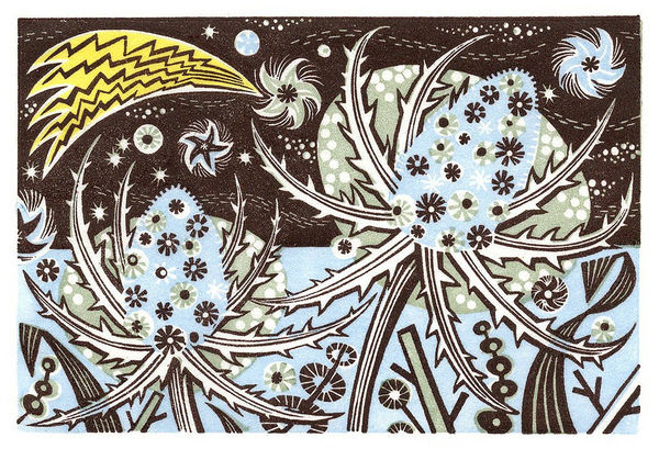 Angie Lewin wood engraving thistles glisten in with frost in pale blue against a night sky illuminated by a shooting star