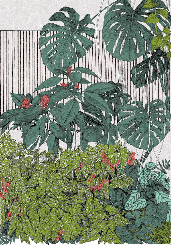 Clare Halifax screenprint of an array of greenery on a striped background