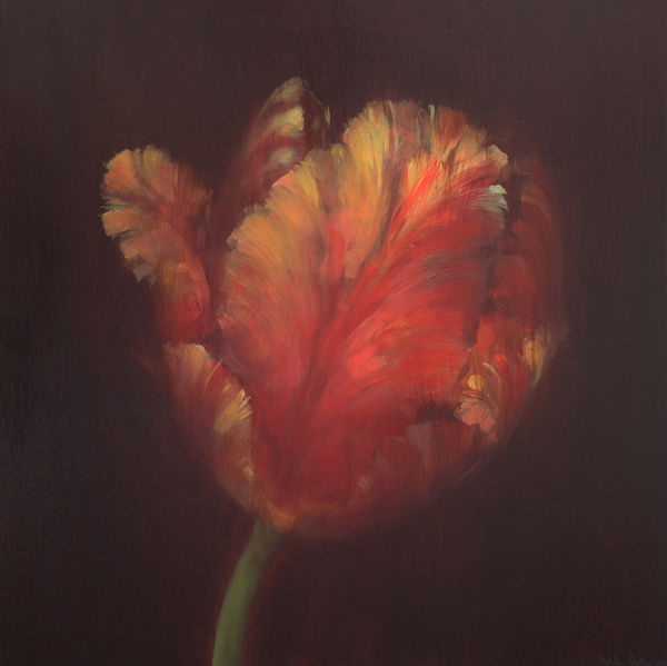 Fletcher Prentice, Parrot Tulip Study , 2021