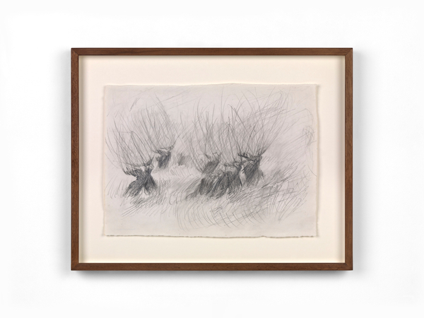 Willows in Wittem III