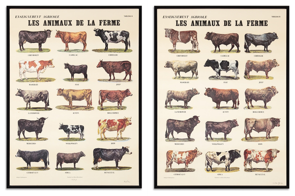 Marcel Broodthaers, Les animaux de la ferme, 1974