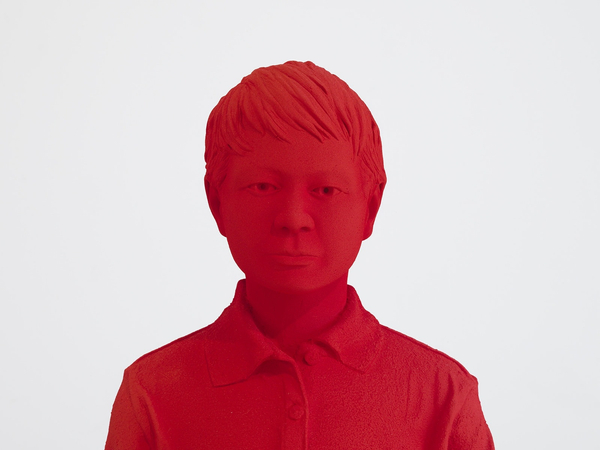 Will Ryman, The Classroom (Cadmium), 2015