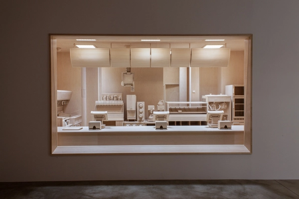 Roxy Paine, Carcass, 2013