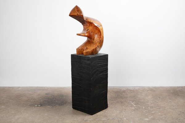 JB Blunk, Madonna #1, 1973-1977