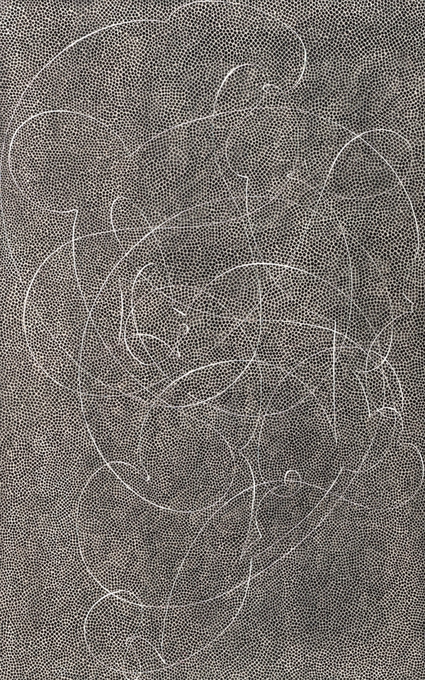 Elliott Puckette, Circinus, 2010