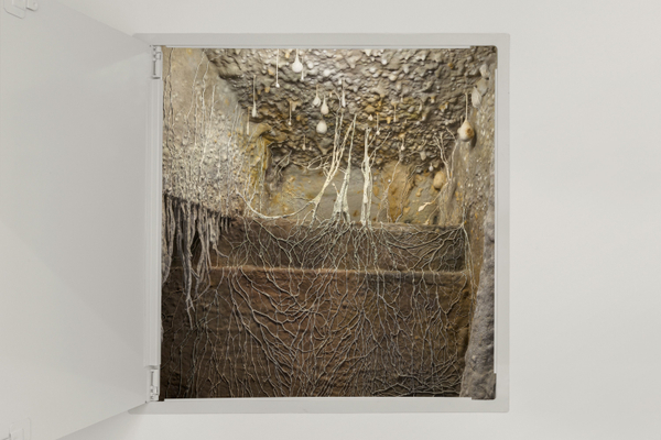 Roxy Paine, Access Panel, 2021