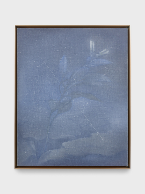 Theodora Allen, The Weed, 2023