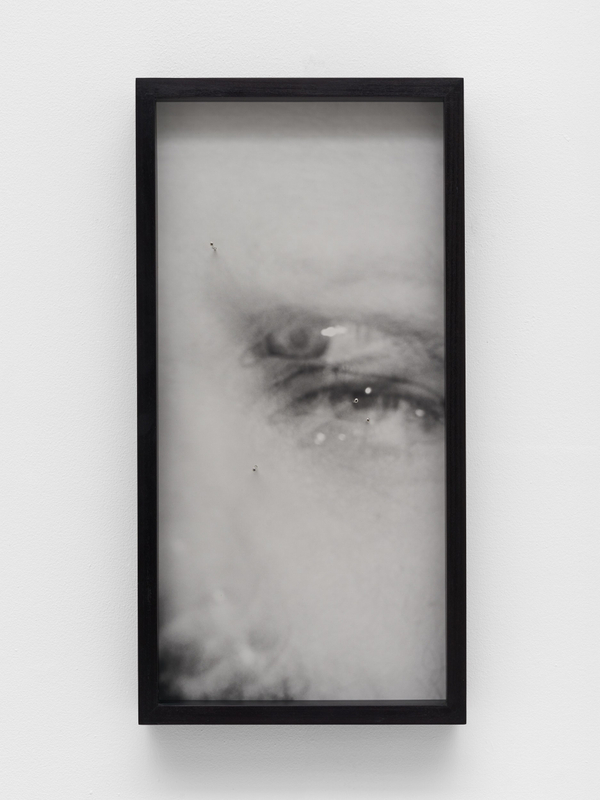 Polly Brown Gunpowder and Shot2021 Silver gelatin print, solid silver nails, glass, wooden frame 8 5/8 x 16 3/4 in. / 22 x 42.5 cm