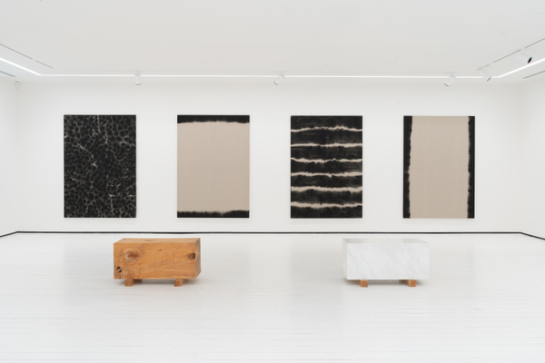 Leonardo Anker Vandal