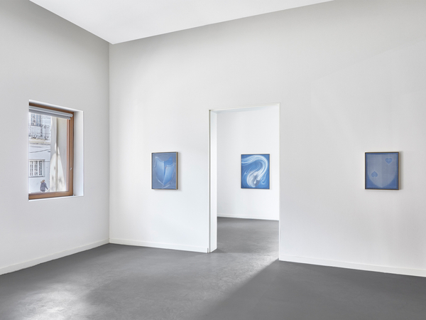 Theodora Allen: Germ