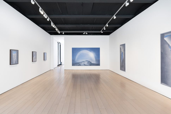 Theodora Allen: Oak reviewed in Observer