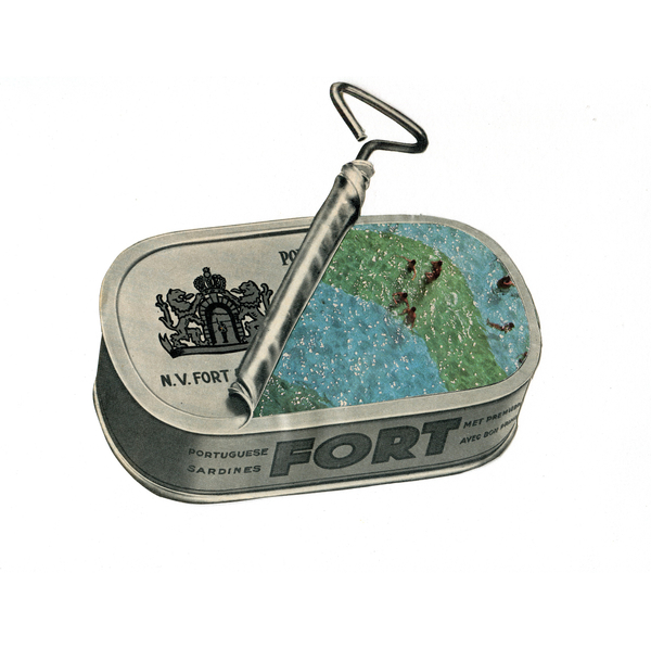 Sammy Slabbinck, Fort