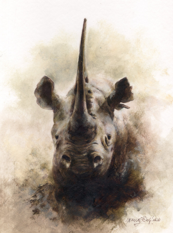 Mandy Shepherd, Rhino