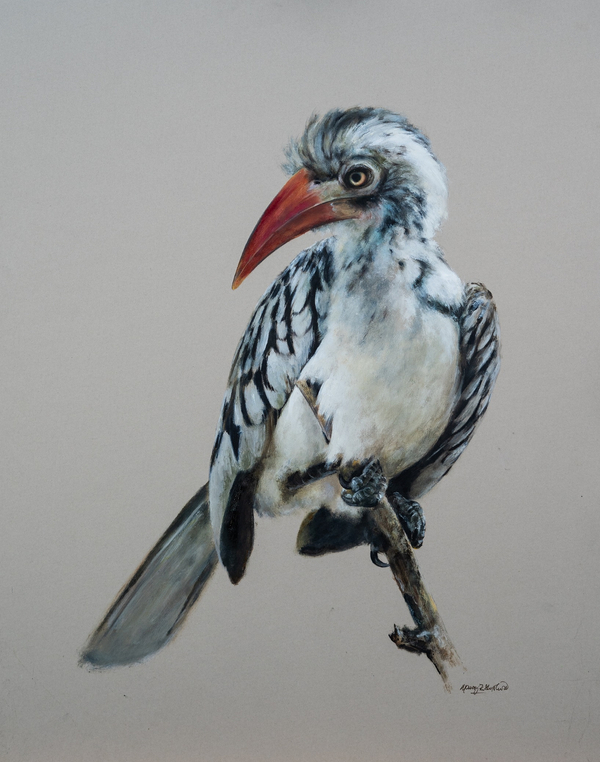 Mandy Shepherd, Hornbill