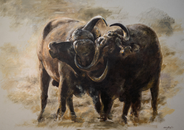 Mandy Shepherd, Buffalo Battle