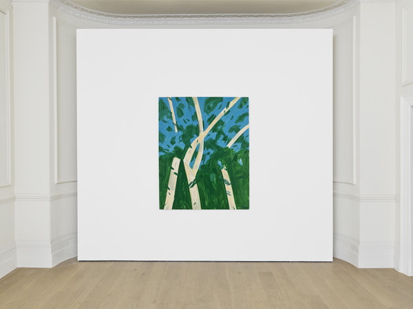 Ak Ttldn Install3 300Dpi