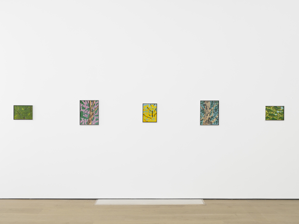 Ak Ttldn Install8 300Dpi