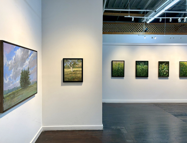 Gross McCleaf Gallery presents Douglas Martenson: The Meadow, Encounter