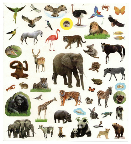 URI ARAN AT MADRE MUSEO D'ARTE CONTEMPORANEA DONNAREGINA