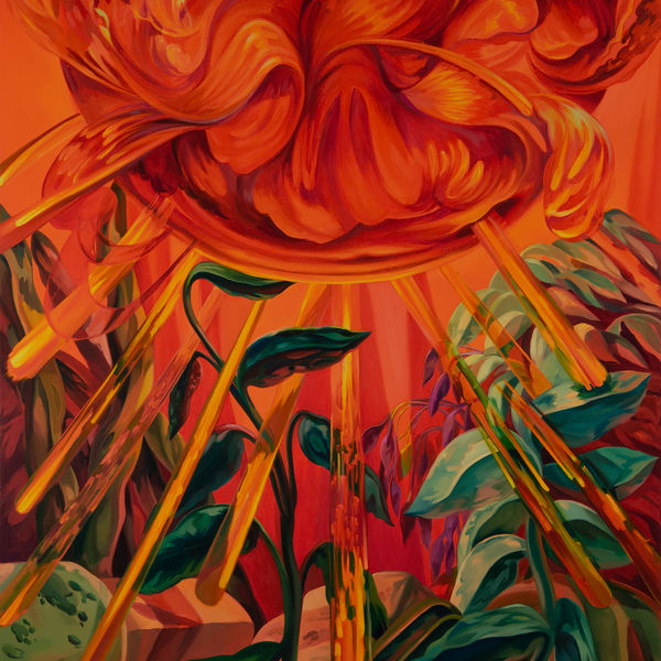 Rachel MacFarlane: Afterlight