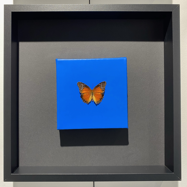 Vince Marks, I Flutter For You (unique original), 2026