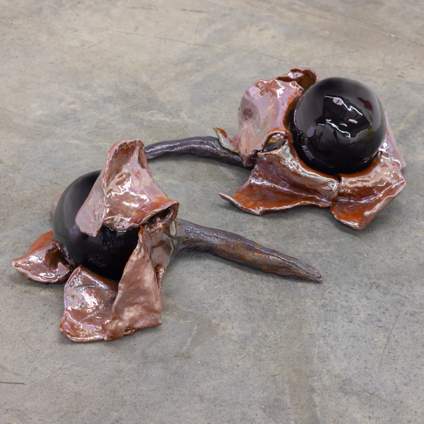 Staying With The Trouble