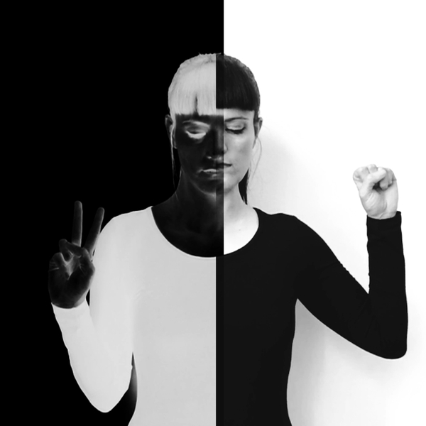 AN AESTHETICS OF NON-ALIGNMENT