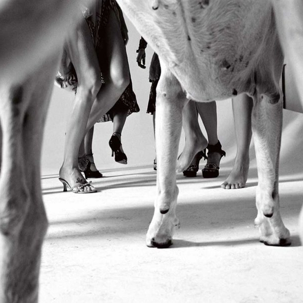 Party | No Regular Play [Wolf+Lamb] MC & Hammer [City Fox]