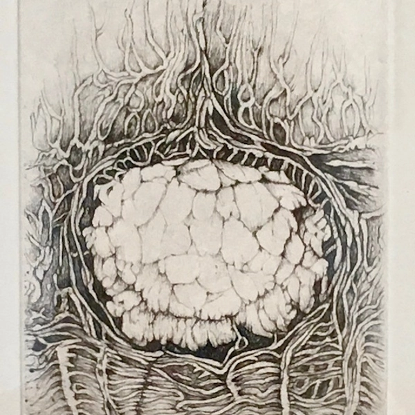 VOYAGE DANS L'UNIVERS DES PEINTRES-GRAVEURS