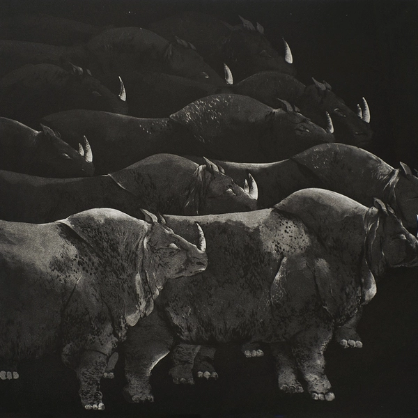 Accrochage d'automne