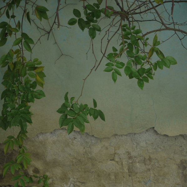 Flora Brooke, Untitled, 2014