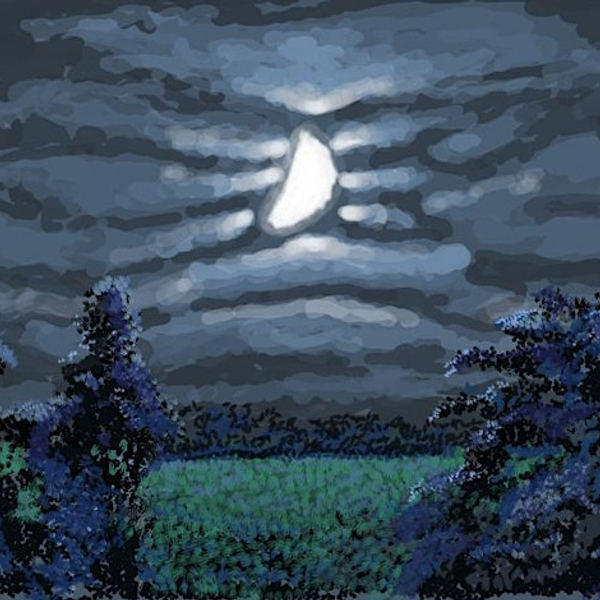 Night Shift A sensory experience inspired by David Hockney's Normandy Nocturne paintings