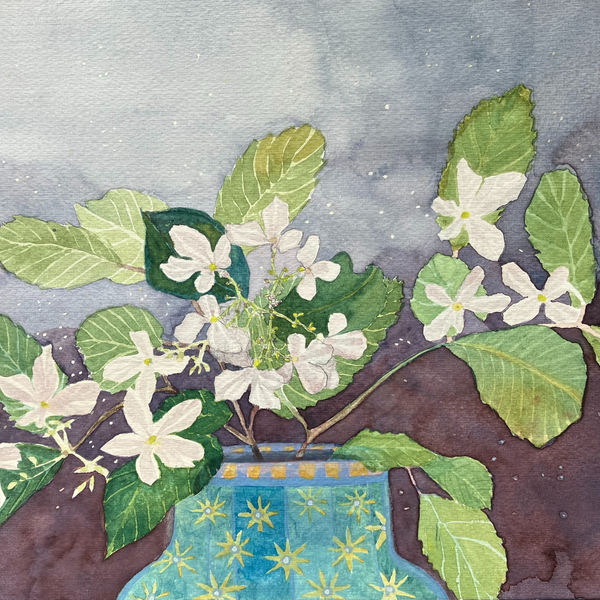 Viburnum in a Starry Pot by Suzy Fasht RWS, watercolour