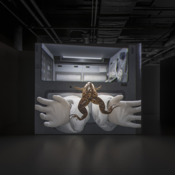 John Gerrard in 'Electricity: The spark of life' at Wellcome Collection