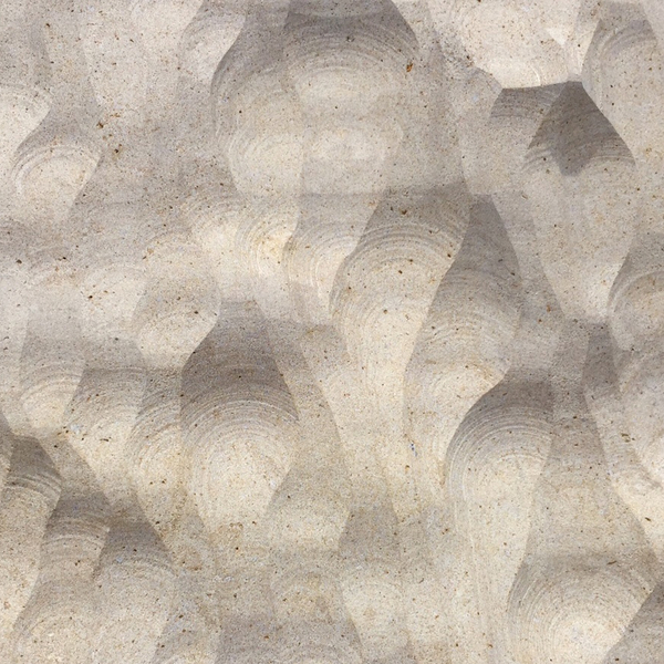 Anya Gallaccio: to see if time was there at The Contemporary Austin