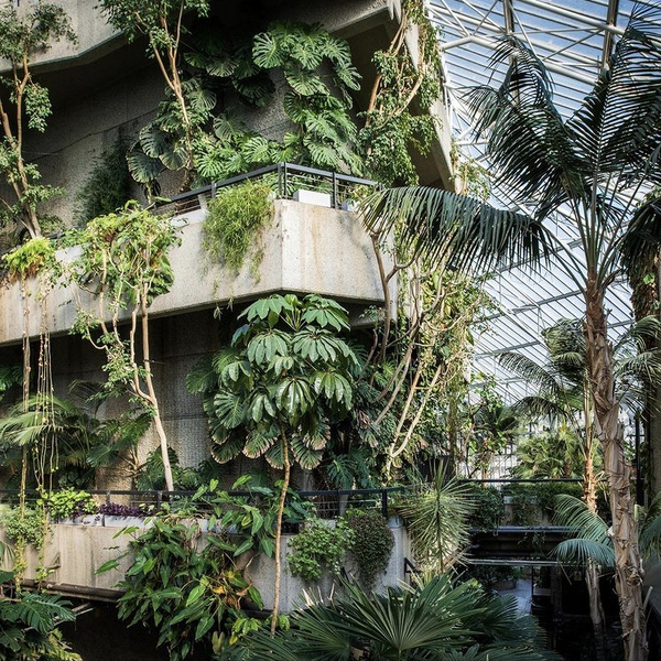 2.11.21 - Thomas Dane Gallery to attend the first Gallery Climate Coalition conference 