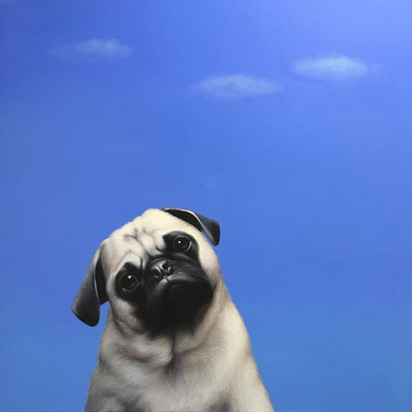 Lilia Mazurkevic - Pug