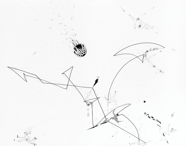 ZIERVOGEL RF, 2010 Ink on paper 140 x 177 cm 55 1/8 x 69 3/4 in