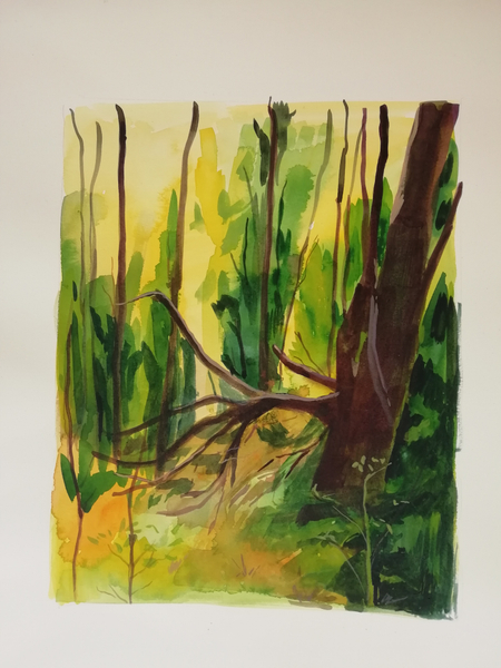 Lucy Smallbone, Forest, 2020