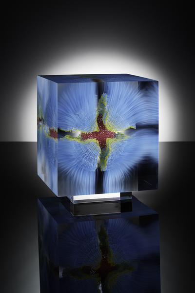 Wilfried Grootens, Where the Shark Bubbles Blow, P2, 2015