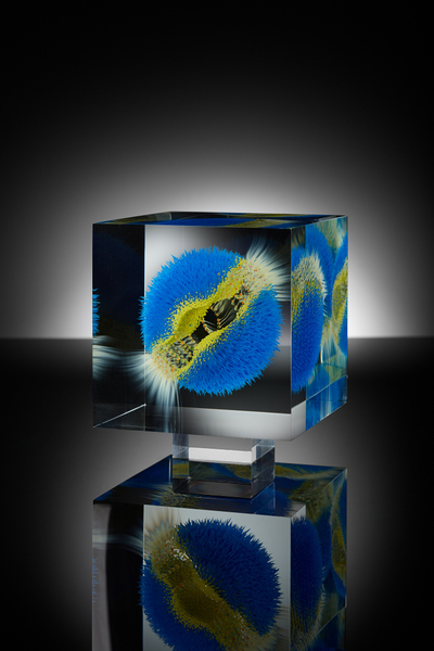 Wilfried Grootens, Where Shark Bubbles Blow, P4, 2016