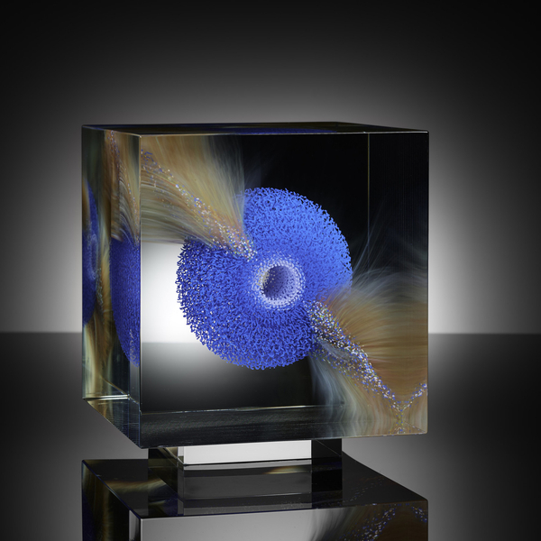 Wilfried Grootens, WSBB P7, 2019