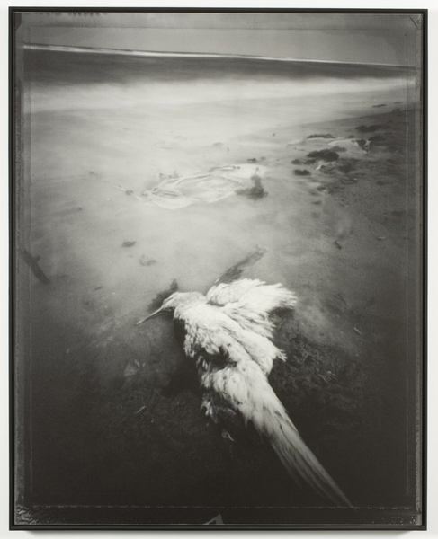 Brittany Beiersdorf, Angels Slumber (Florida), 2005