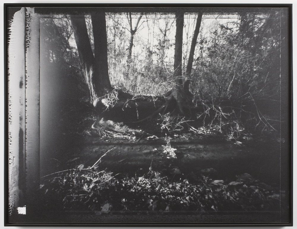 Brittany Beiersdorf, Find Me Forever Here (Virginia), 2004