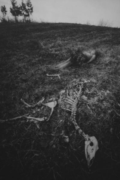 Brittany Beiersdorf, The Cycle Continues (Virginia), 2005